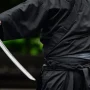 2026 34th Iaido Championships and Seminar