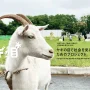 Australia-Japan Horizons: a forum on art & the commons